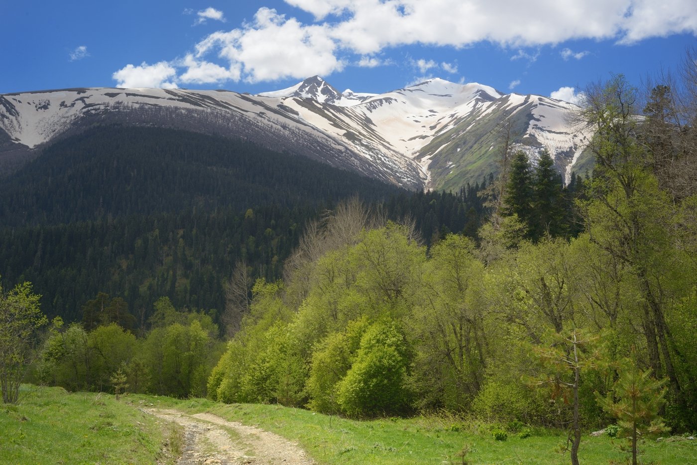 горы весна кавказ архыз, Александр Жарников