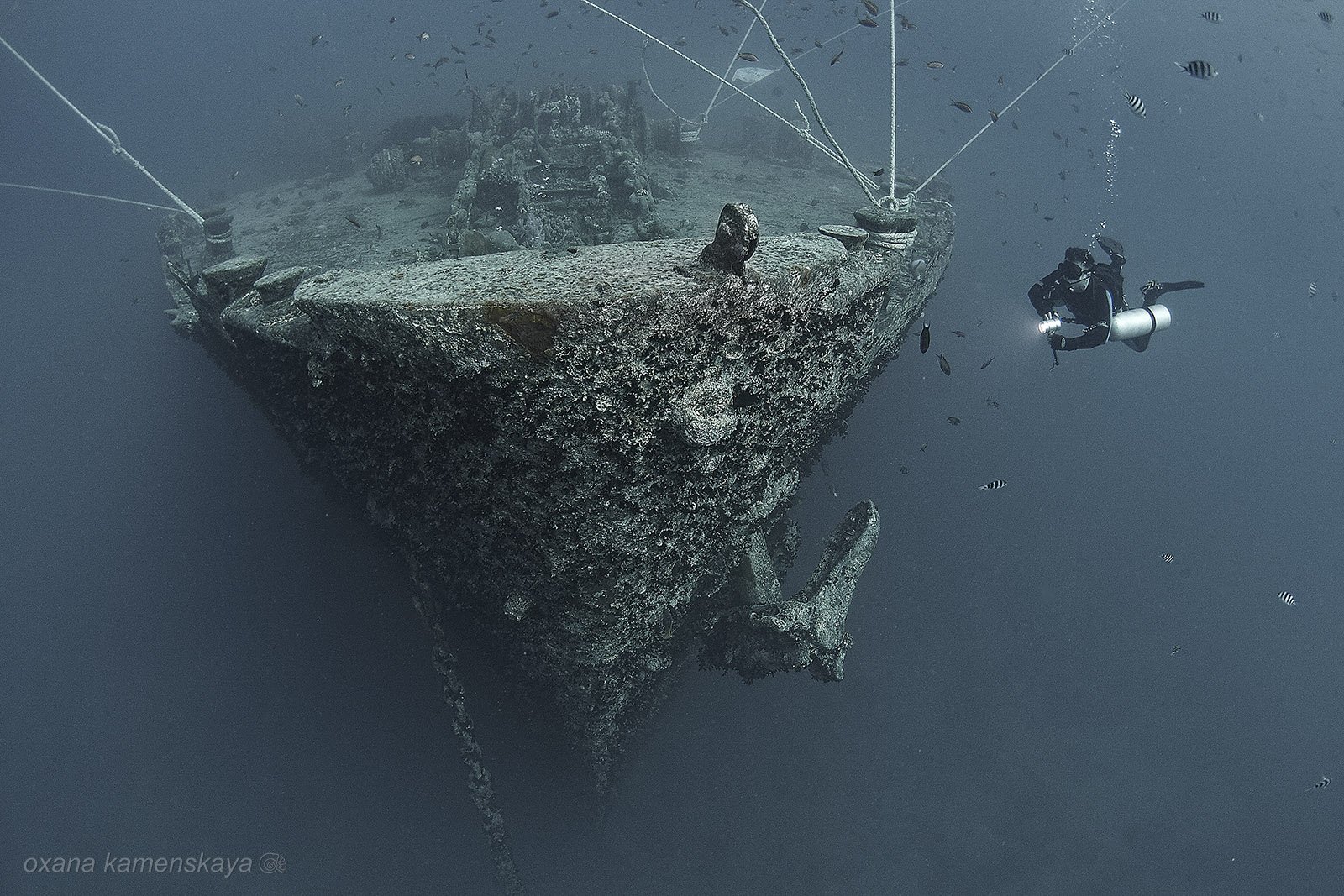 wreck thistlegorm underwater ship bow, Оксана Каменская
