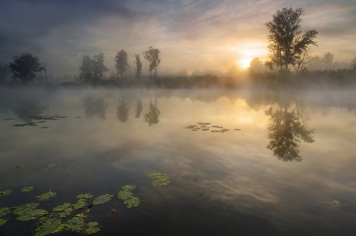 свет, утро, туман, деревья, лучи, солнце, вода, озеро, рассвет, Валерий Чичкин