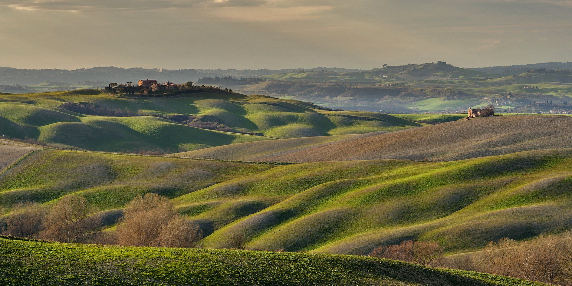 тоскана, италия, italy, tuscany, valdorcia, зеленые поля тосканы, asciano, Татьяна Ефименко