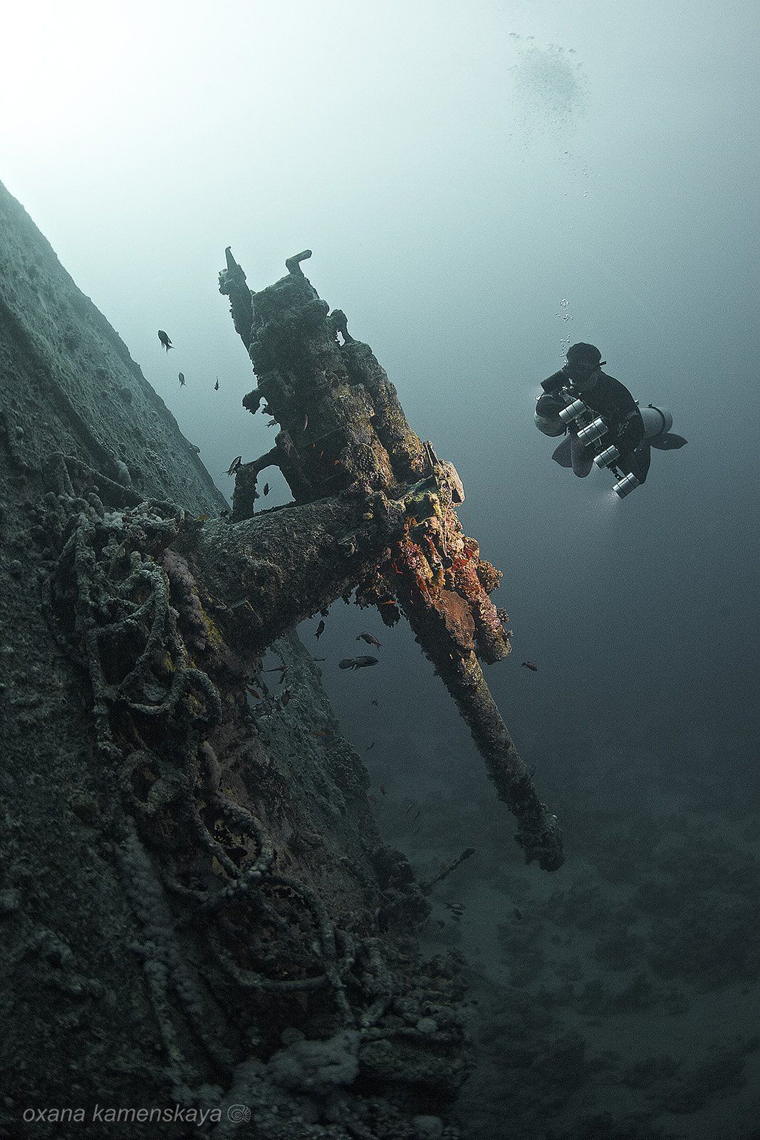 Thistlegorm wreck diving underwater, Оксана Каменская