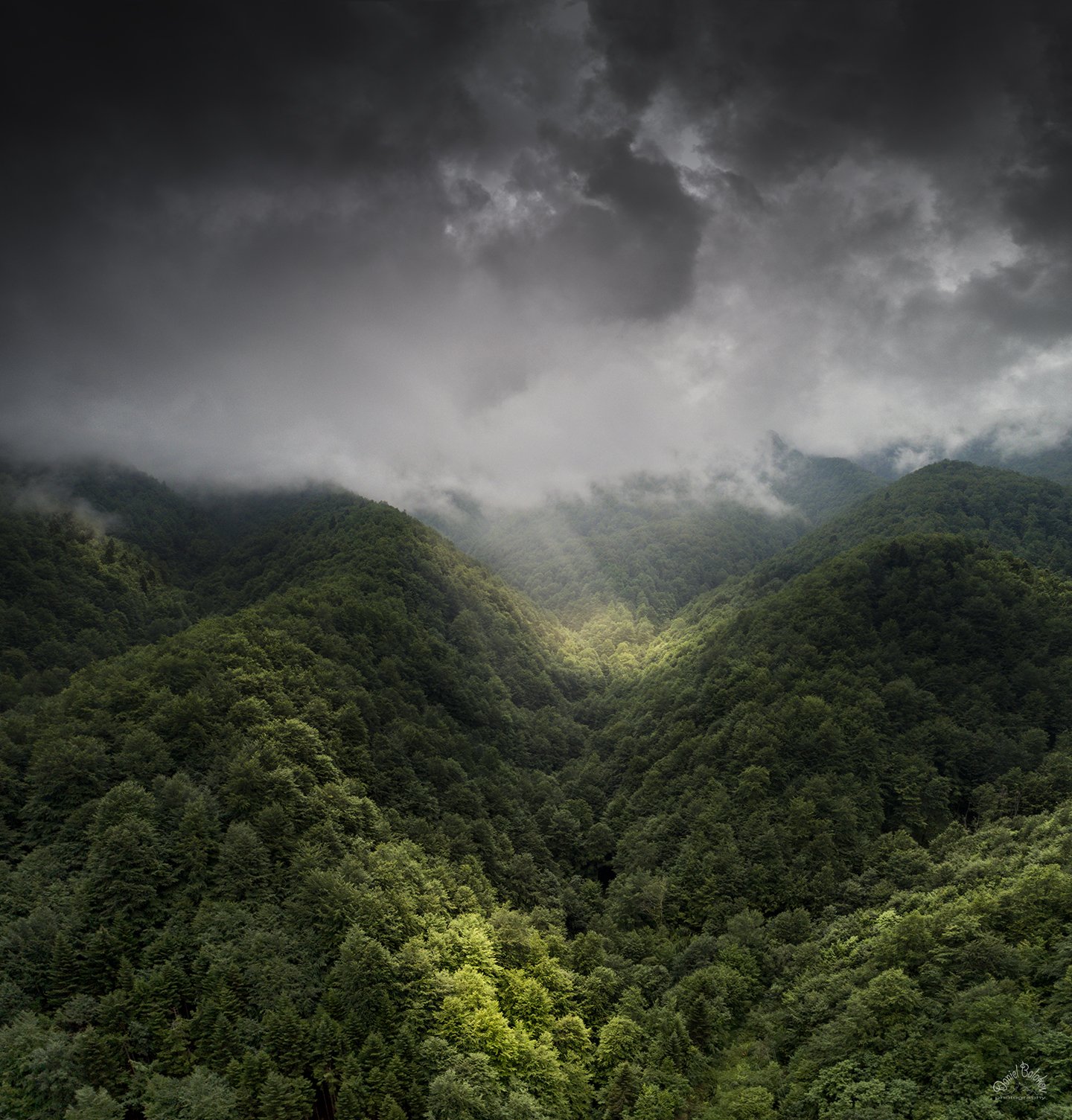 #rays #rainy #mountains #shadows #storm #trees #green, Даниел Балъков