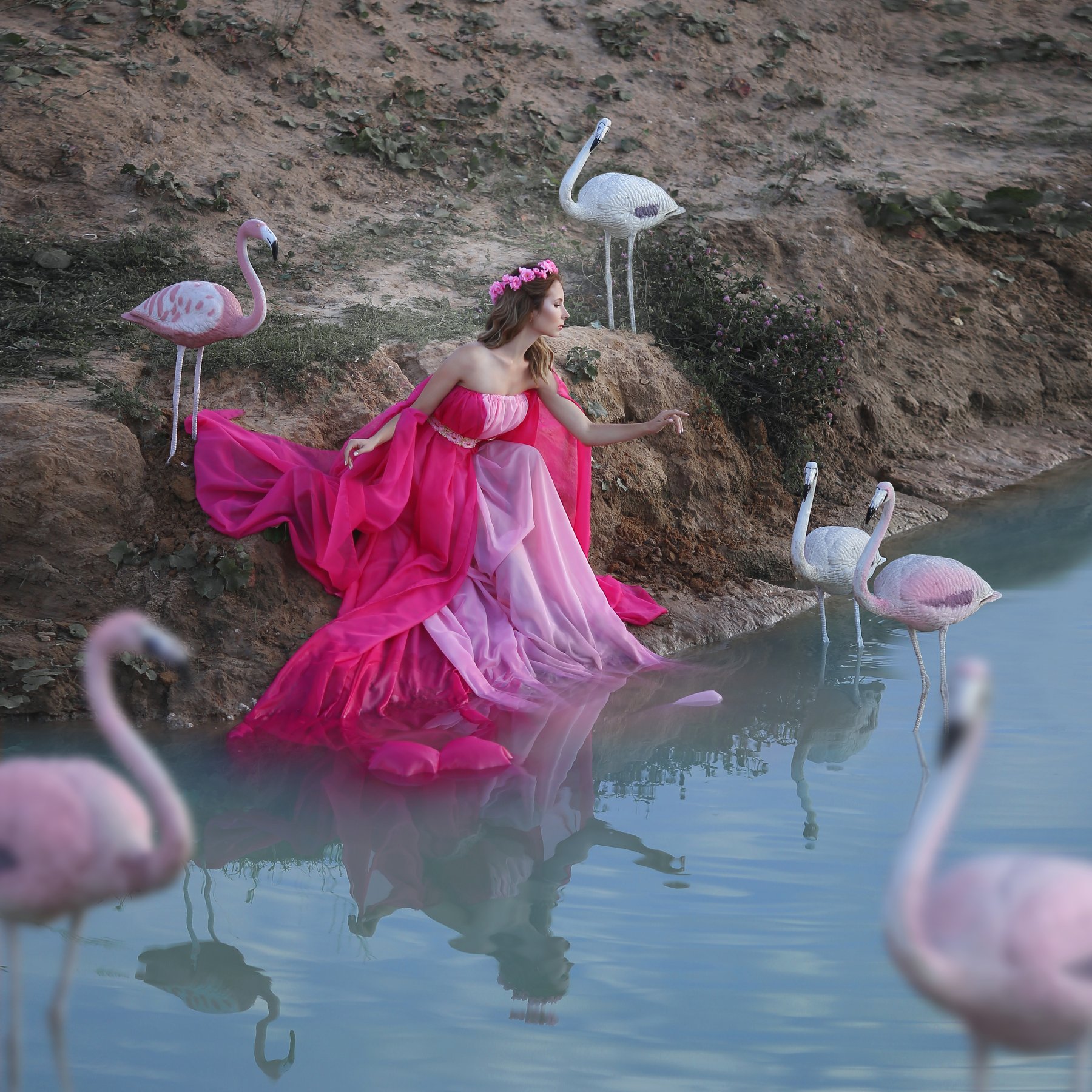 фламинго / flamingo, Ирина Голубятникова
