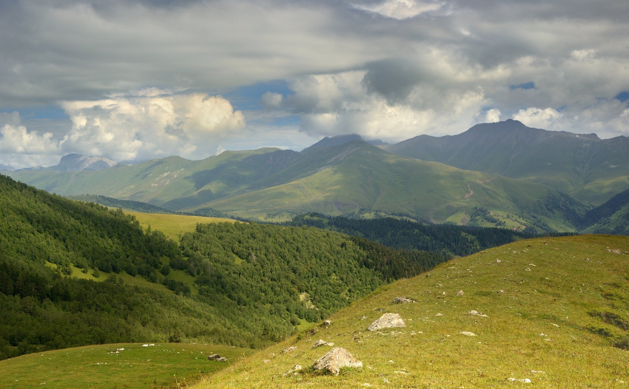 Пхия красная Поляна дорога