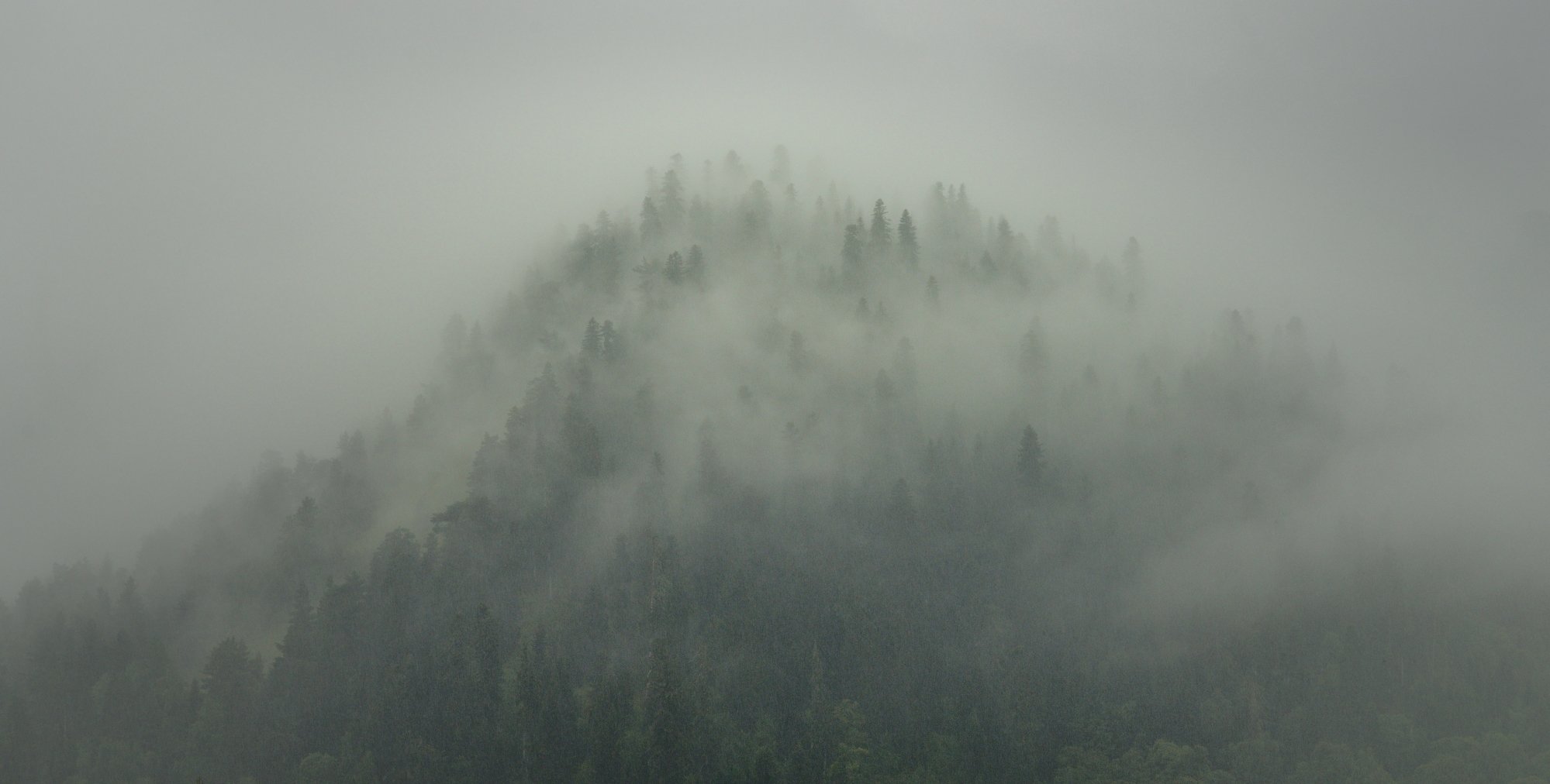 Туман в мае. Сильный дождь в горах. Горы туман дождь. Плохая видимость в горах. Плохо видимый в тумане