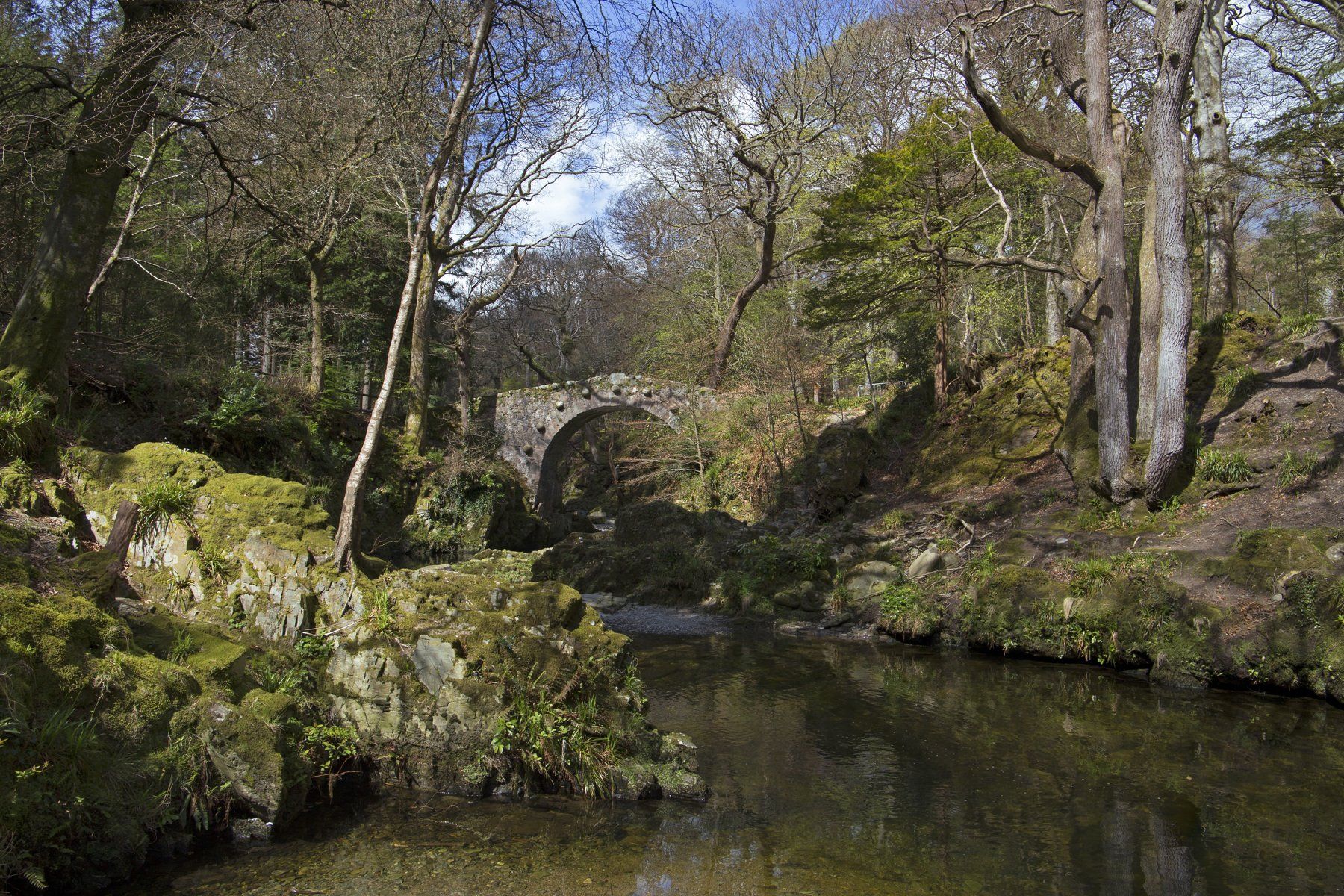 мост, река, лес, весна, пейзаж, северная ирландия, Марина Кулакова