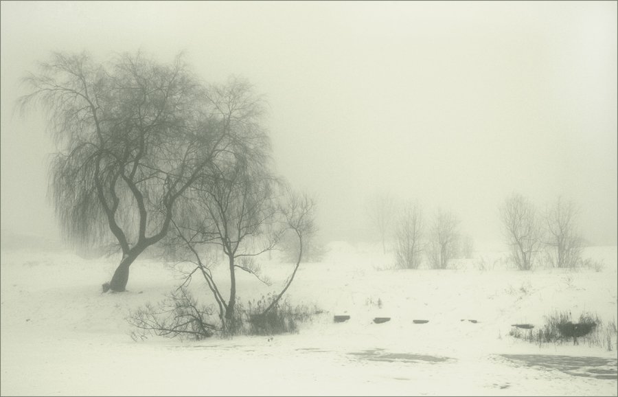 туман, зима, Елена Сергеенко