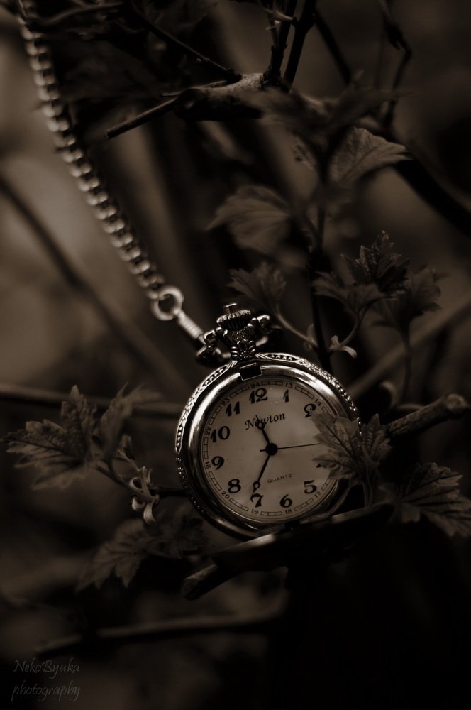 watch, pocket, watches, old, старинные, карманные, часы, растения, plants, Мамакова Анжелика
