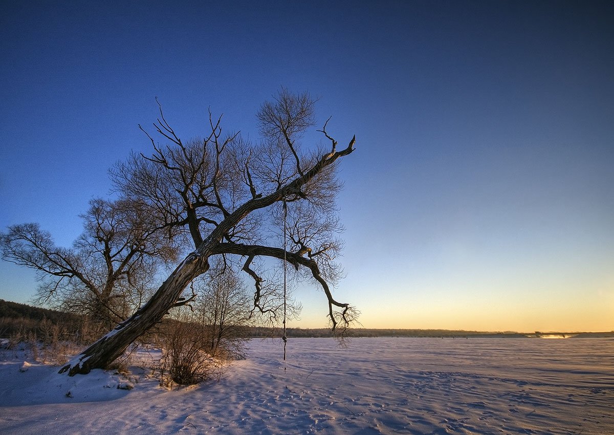 дерево, тарзанка, снег, зима, утро, Dmitry Apalikov