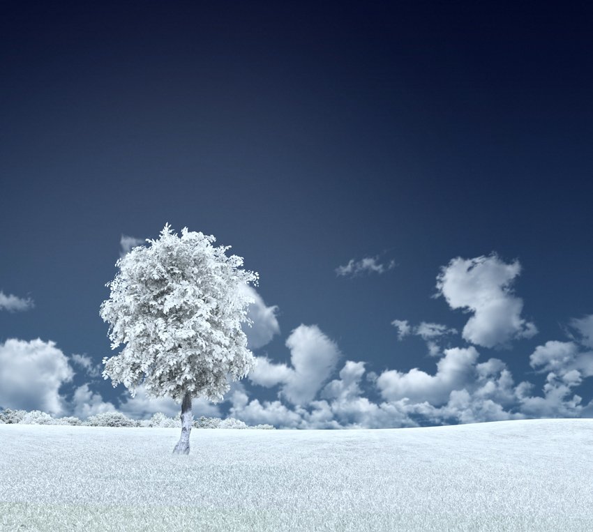 silence atmosphere, afternoon, sky, windy, tree, cloud, blue, field, landscape, infra red, leaf, Caras Ionut