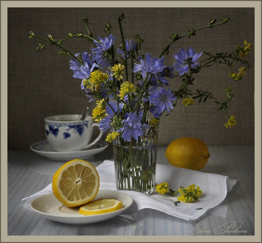 цикорий, цветы, лимон, чай, Elena Pankova