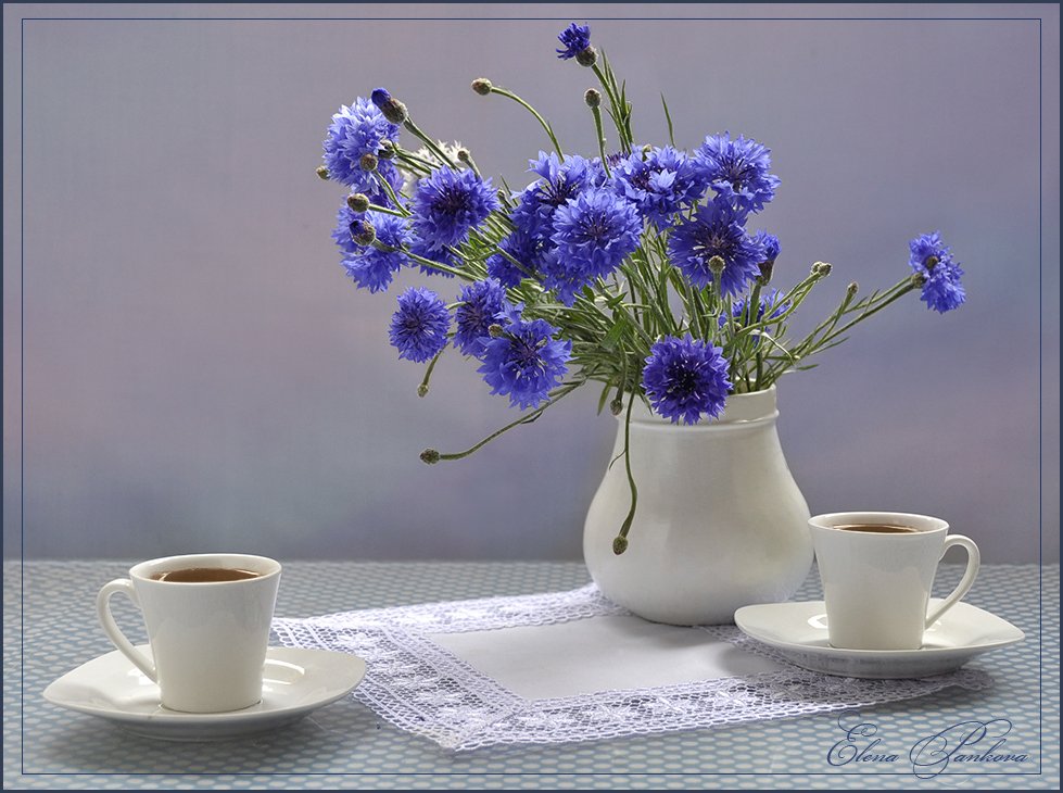 кофе, васильки, цветы, Elena Pankova