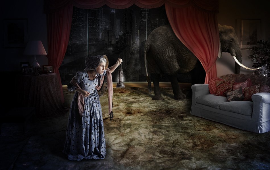 elephant, woman, game, search, Caras Ionut