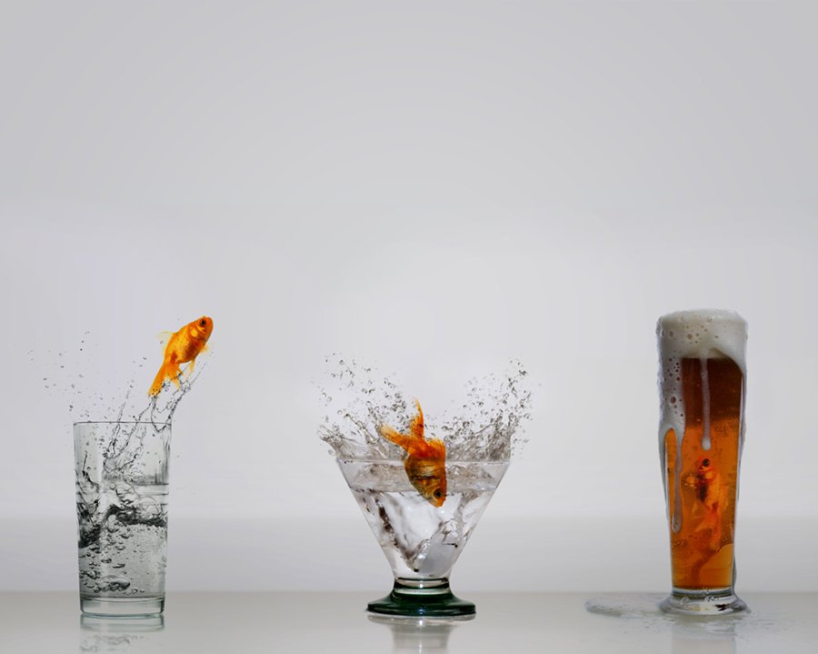 foam, table, water, glass, jump, beer, fish, Caras Ionut