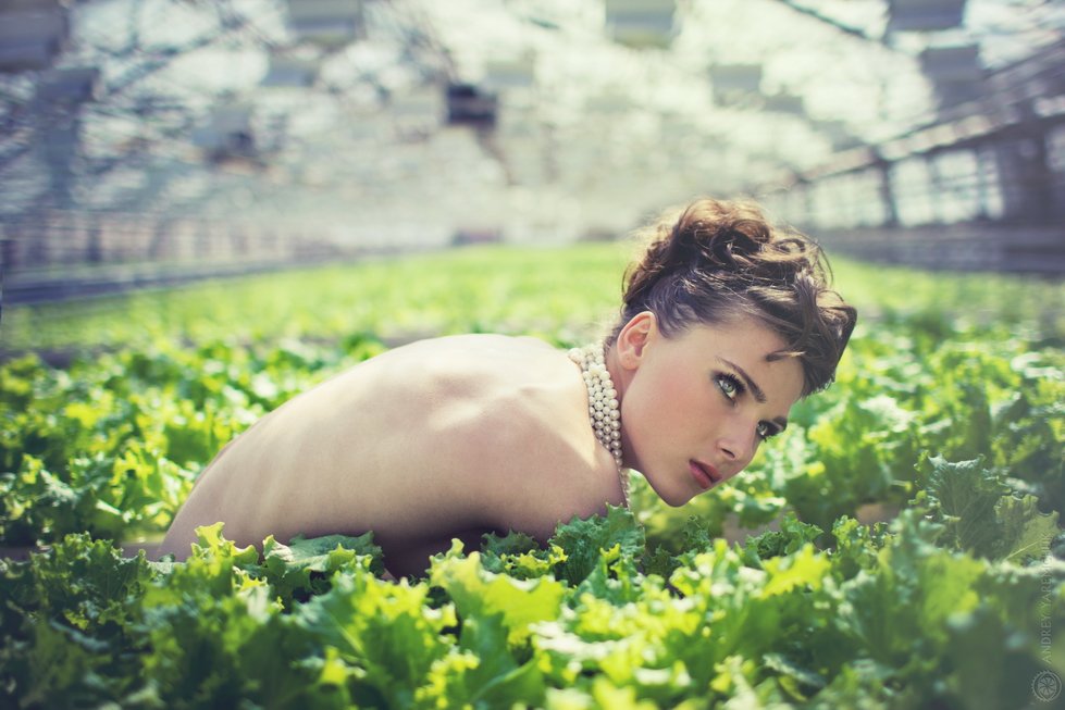 салат, девушка, растения, экология, голая, зелень, ферма, Andrey Yaremchuk