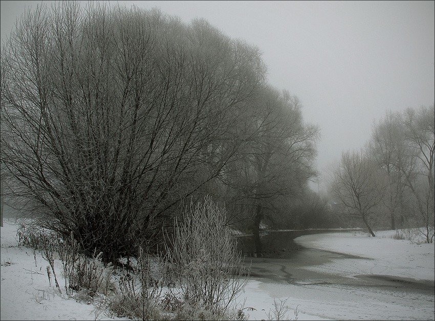 зарисока, foto liubos, пейзаж, зима, Любовь Селиванова