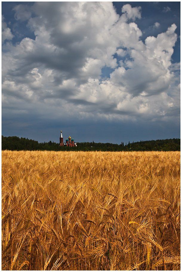 небо, поле, лето, пейзаж, церковь, Oleg Dmitriev