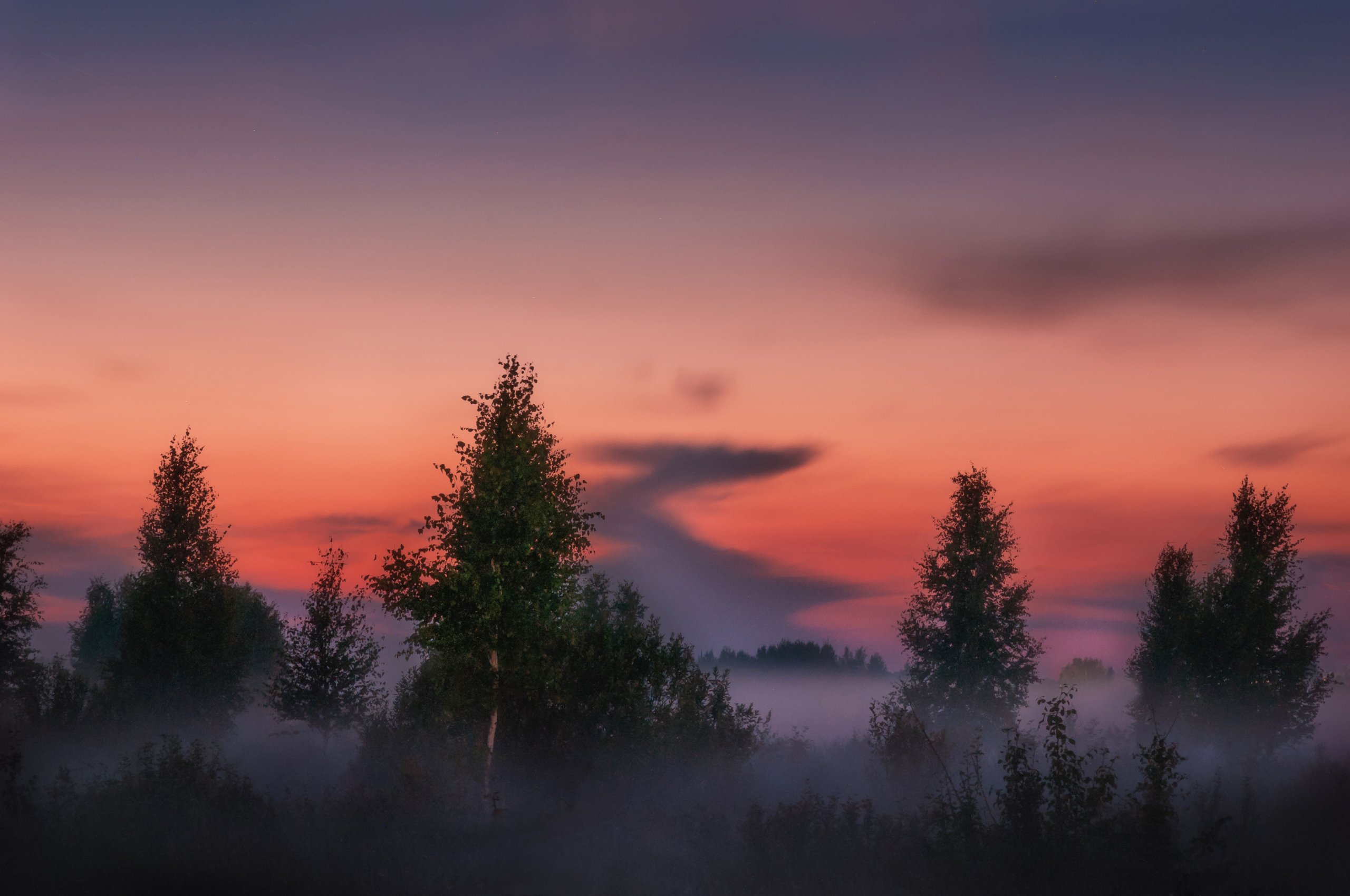 природа, закат, туман, солнце, пейзаж, nature, sunset, fog, sun, fog, landscape, Алексей Сергованцев