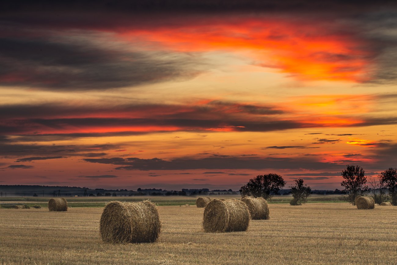 landscape, poland, hay, sunset, Adam Fichna