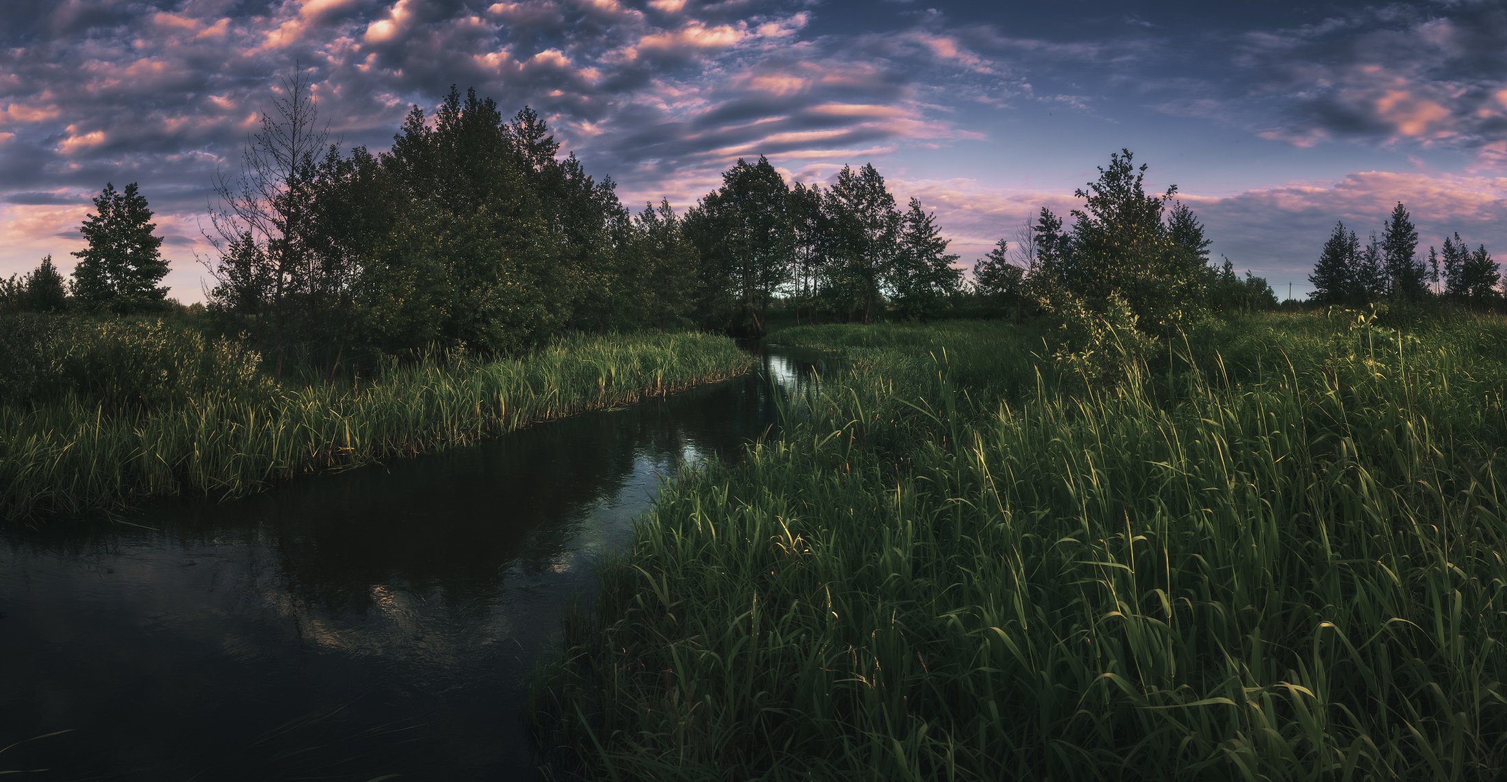 панорама, лето, Андрей Кровлин