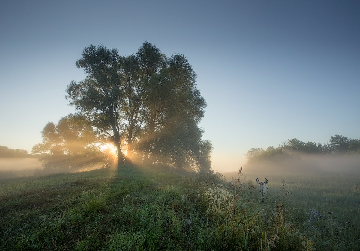 природа утро лето, Михаил Корнилов