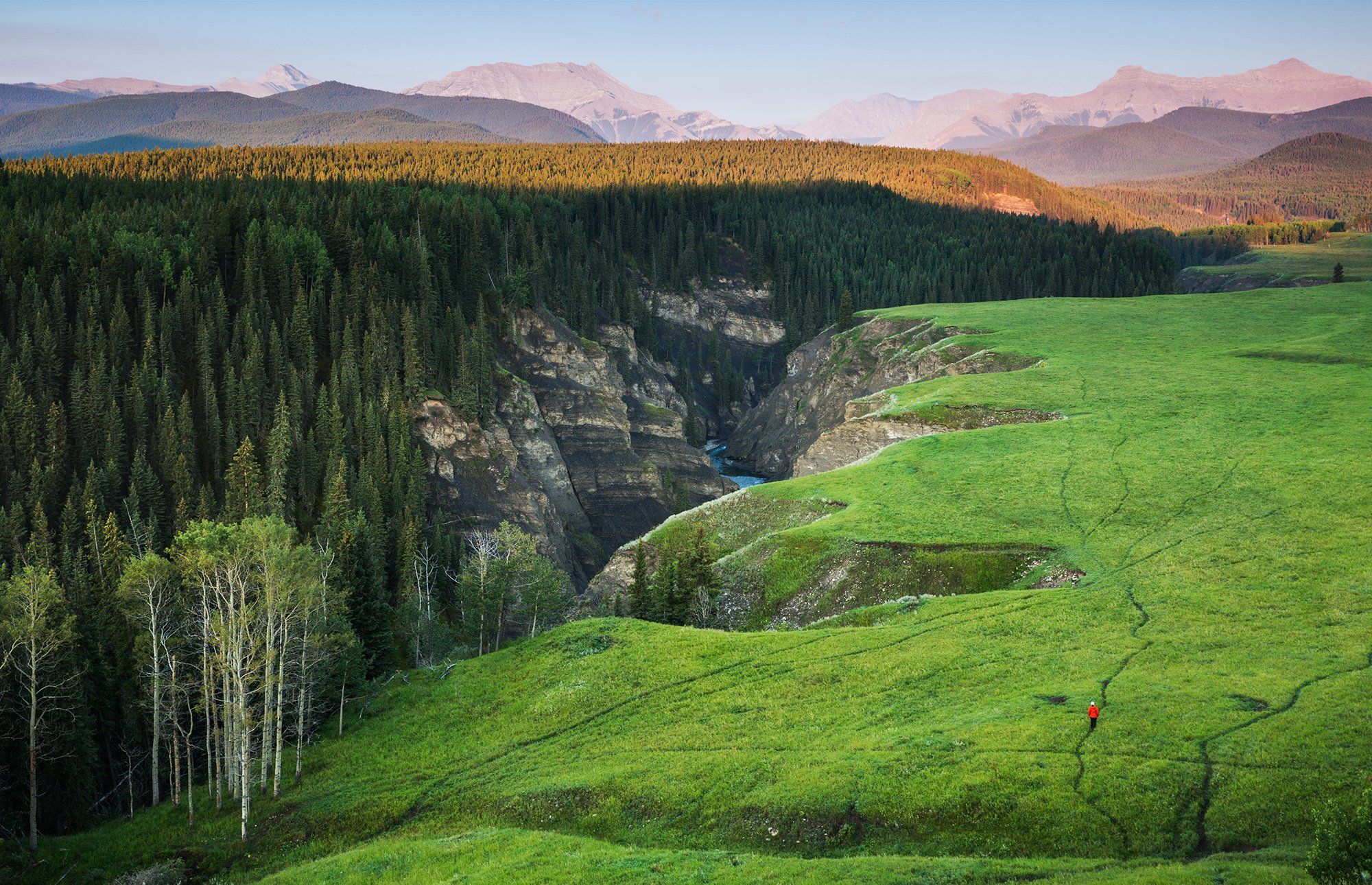 sheep, river, meadows, canyon, bighorn, sanctuary, Evgeny Chertov
