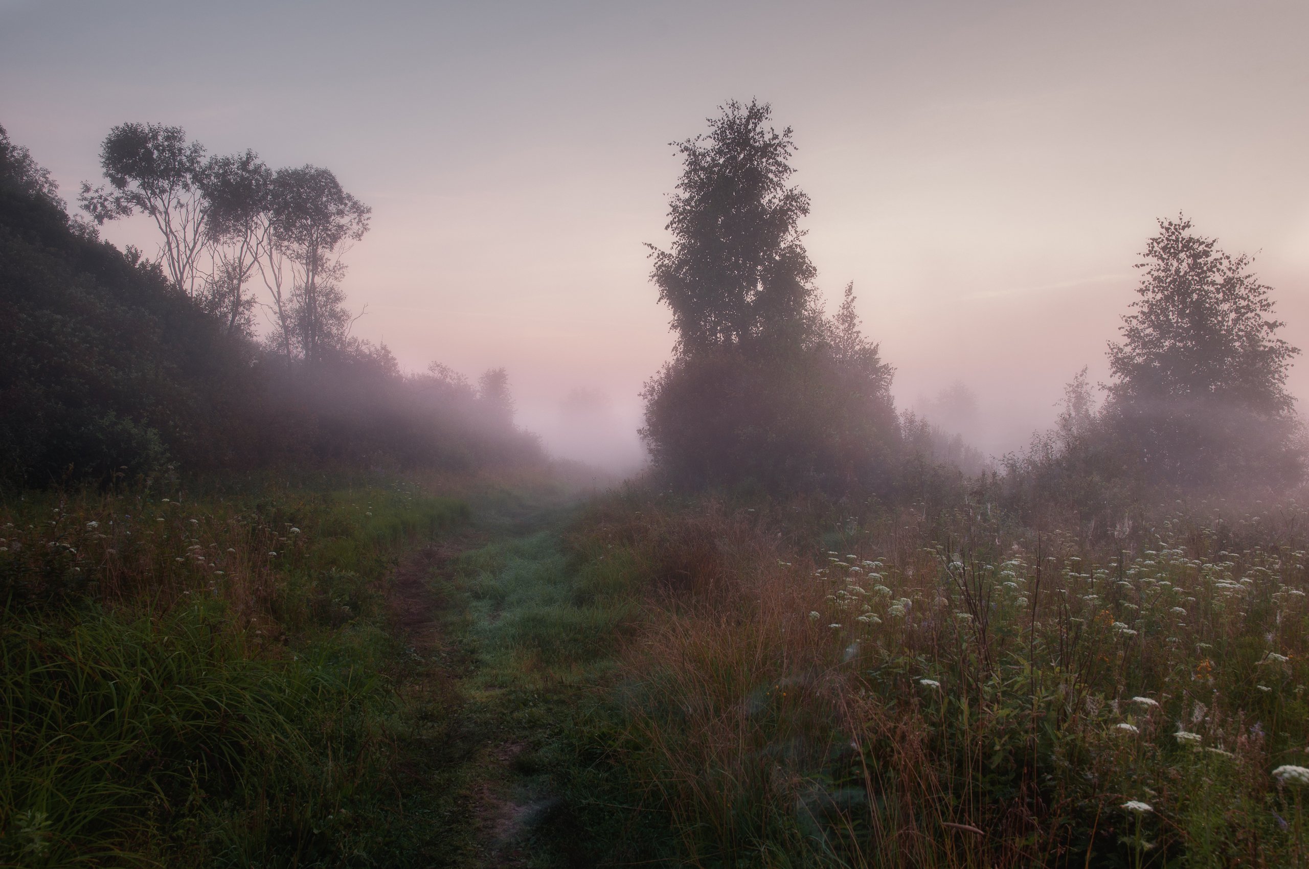 природа, рассвет, туман, солнце, туман, пейзаж, nature, dawn, fog, sun, fog, landscape, Алексей Сергованцев