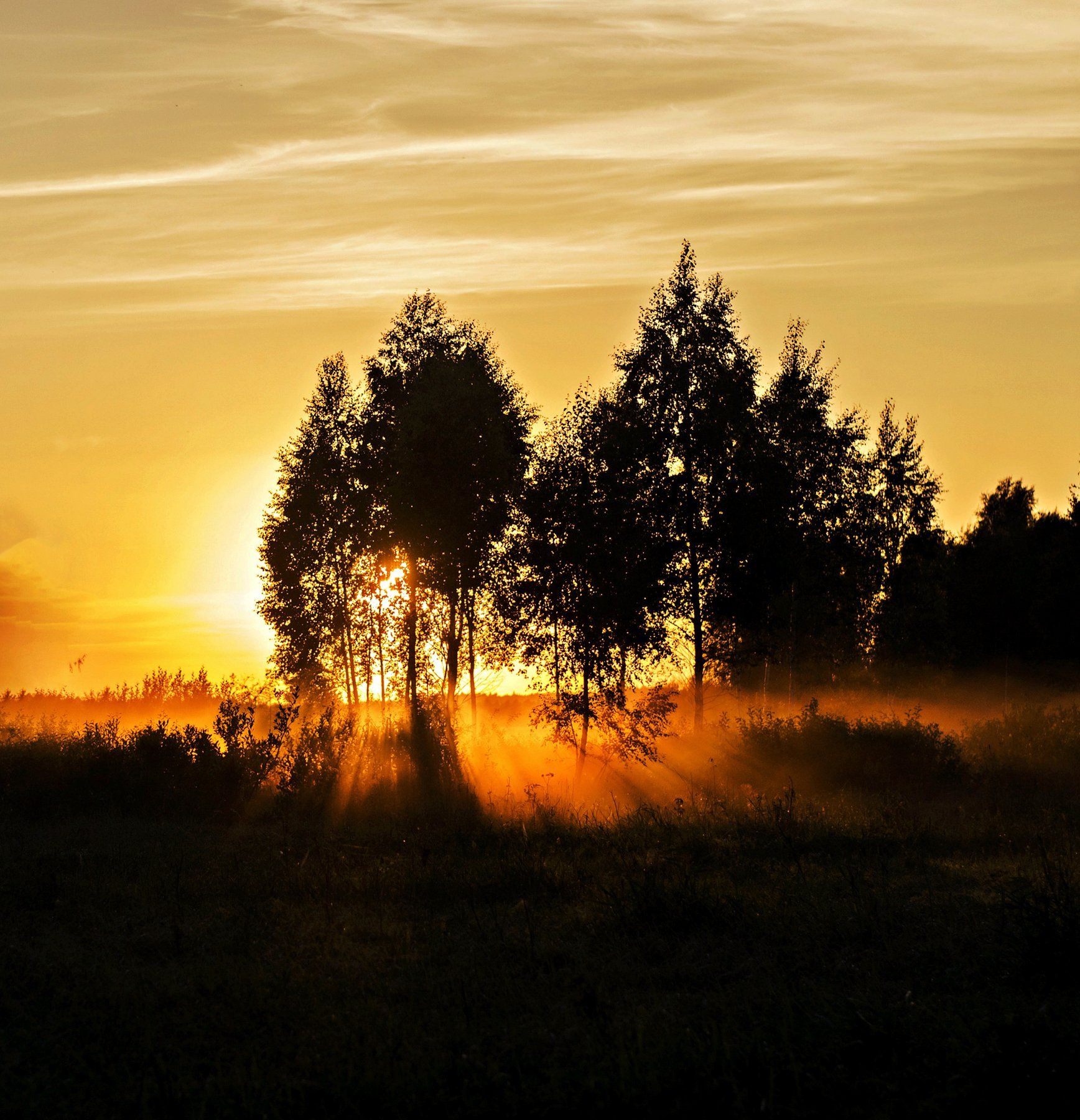 nature, evening, sun, nikon, Elein