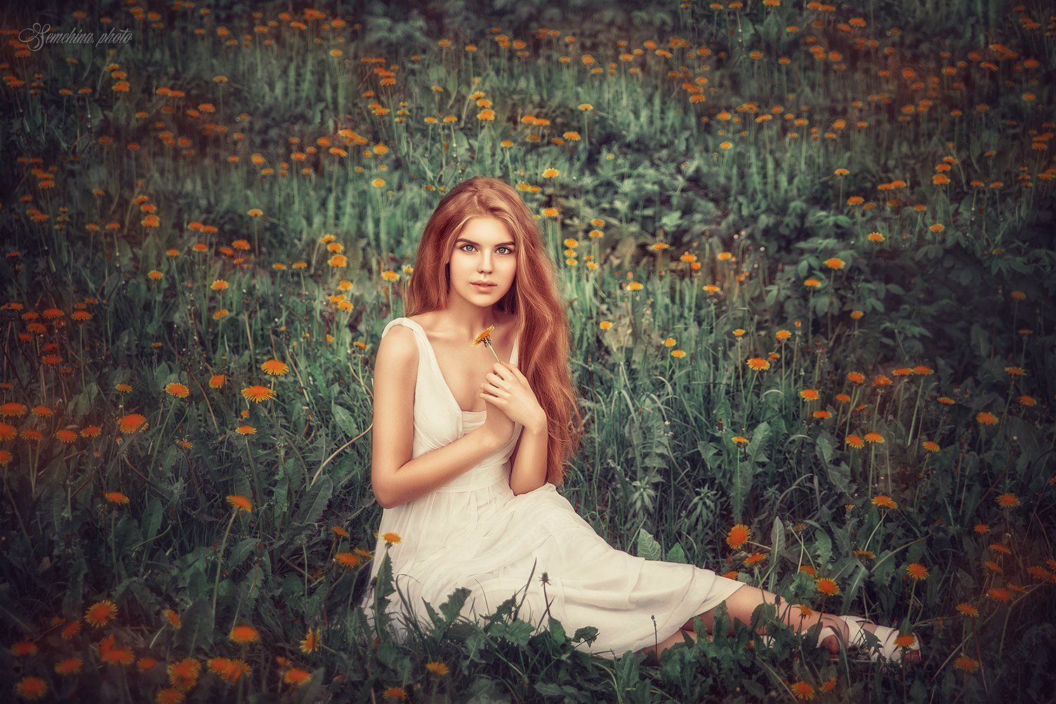 девушка, портрет, одуванчики, лето, поле, girl, portreit, summer, field, flowers, Марина Семёхина