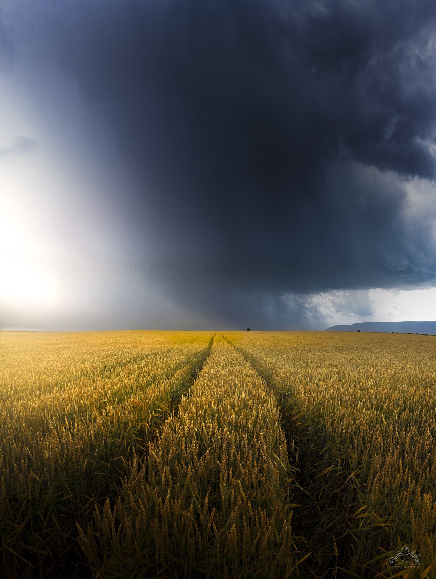 #thunder #cloud #rain #rainy #wheat #field #storm, Даниел Балъков