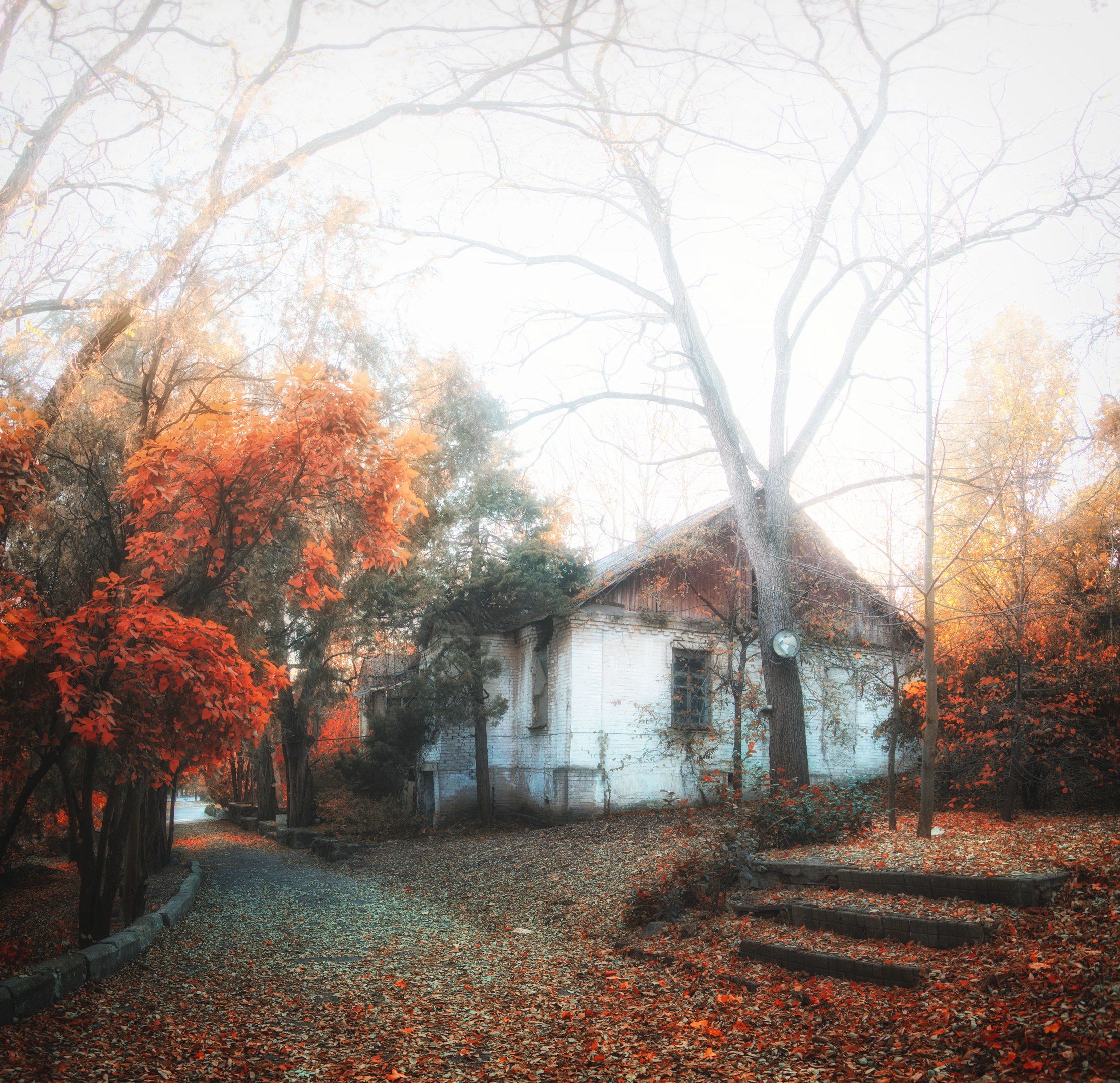 парк осень природа туман fog nature park lodge autumn, Егор Бугримов