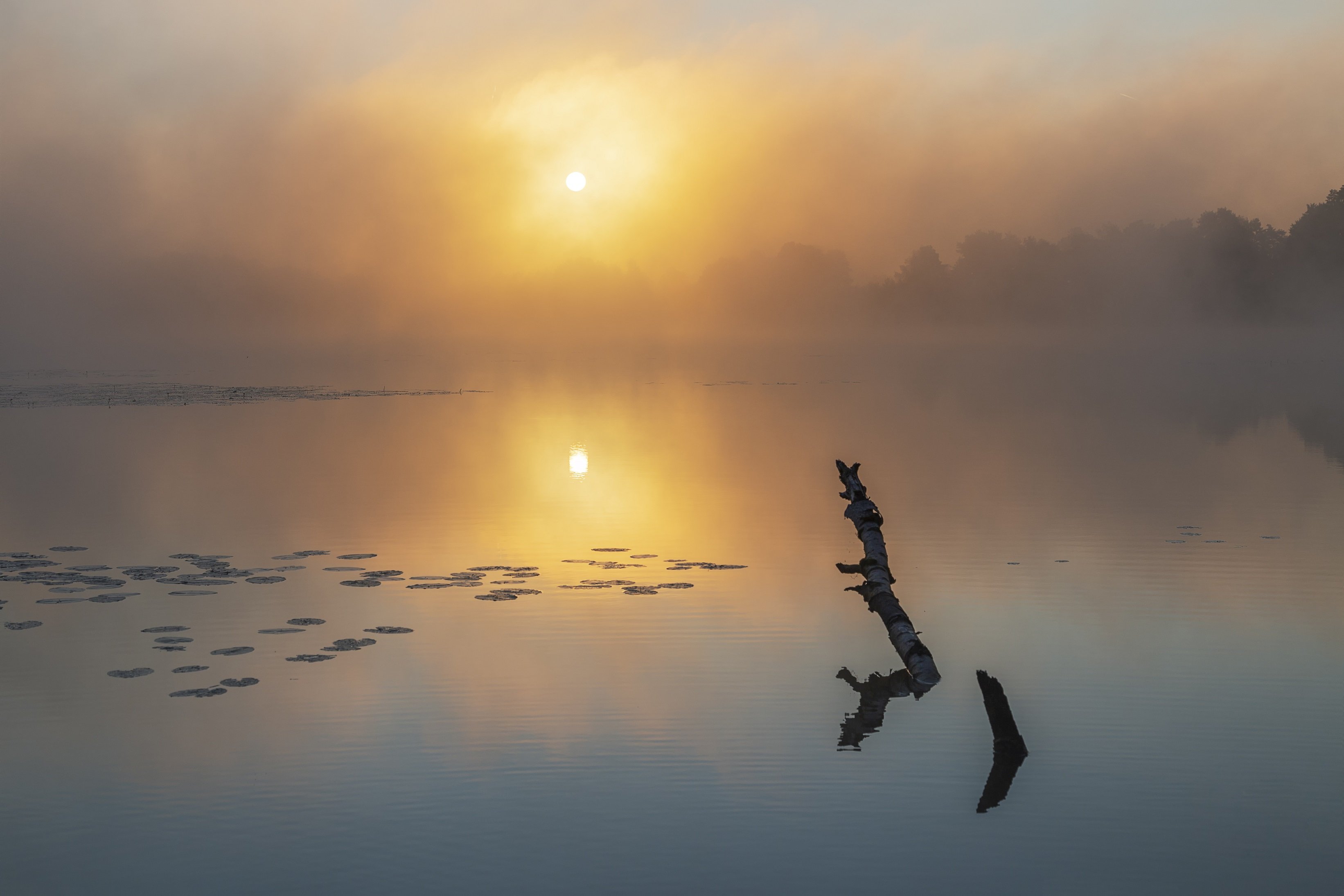 рассвет, туман, озеро, Павел Попов