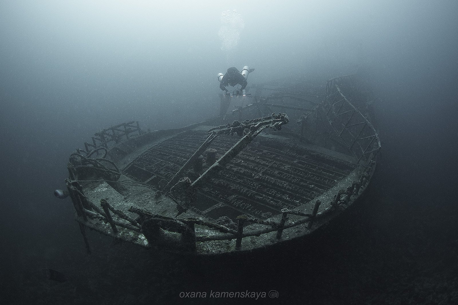 wreck fish underwater shipwreck bow, Оксана Каменская