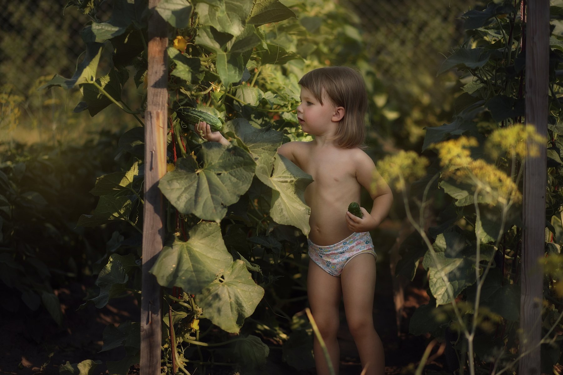 ребенок огород огурцы урожай, Журавель Саша