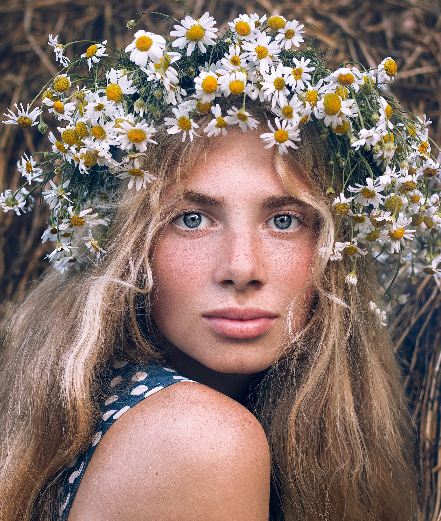 summer girl portrait nature chamomiles, Elina Garipova