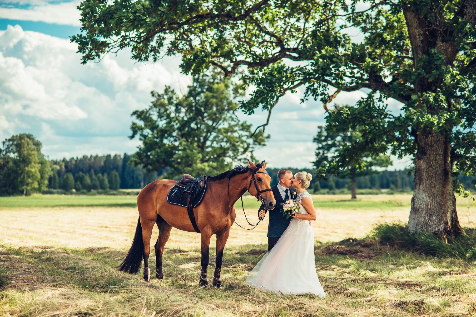 #horse #weddings #love, Roberts Blaubuks