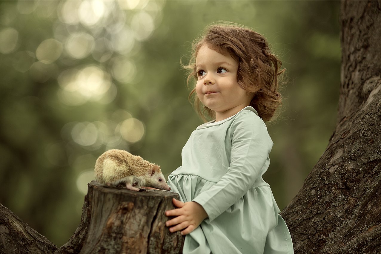 детство малышка ежик портрет, Юлия Твердова