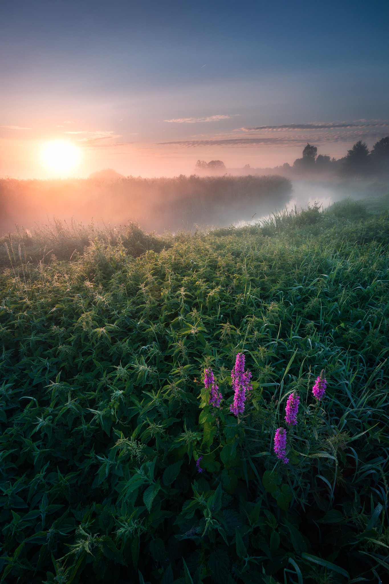 poland podlasie sky clouds sunrise dawn outdoor summer mood fog mist river wildflower, Maciej Warchoł