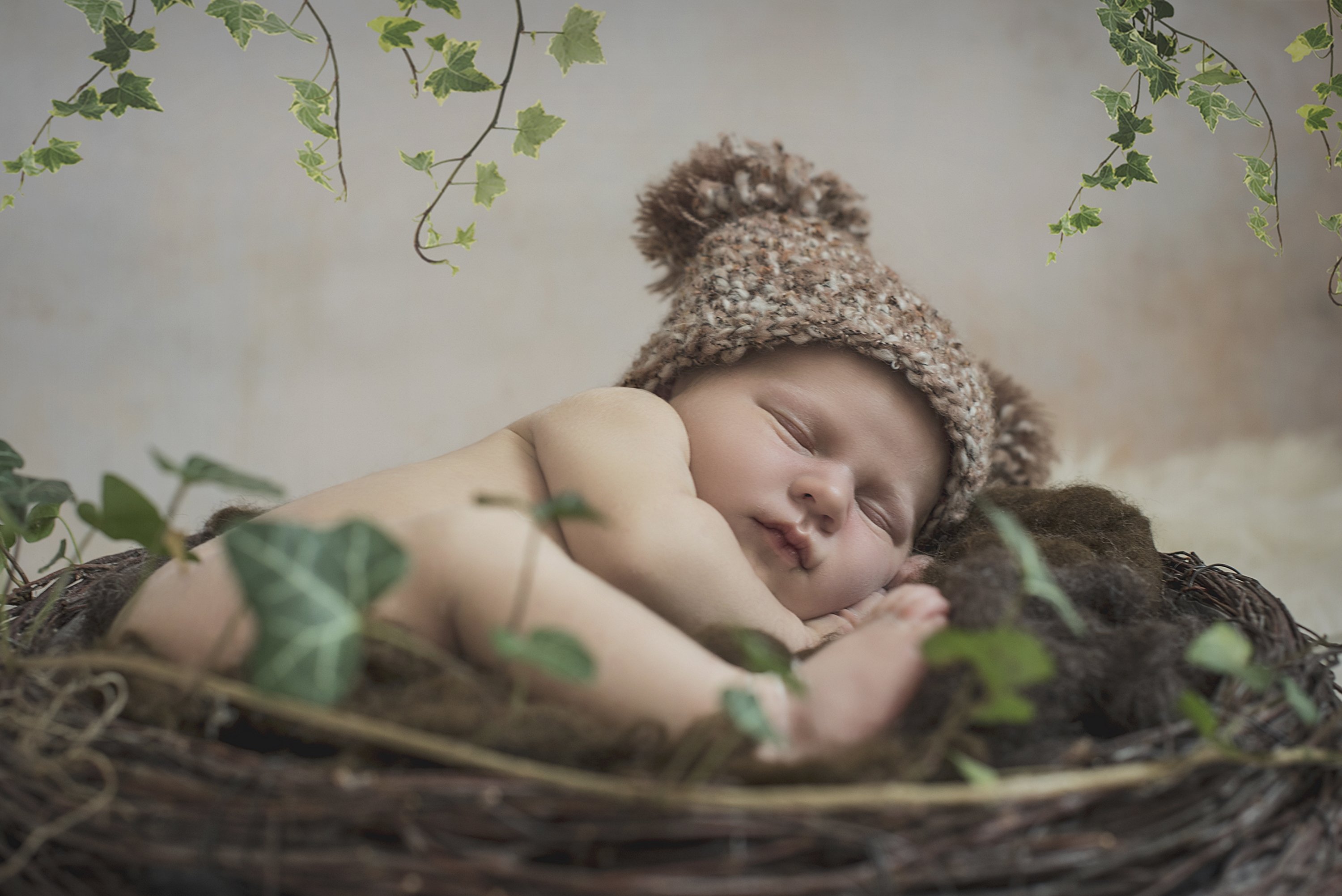 newborn, boy, bear, sleep, Anna Ścigaj