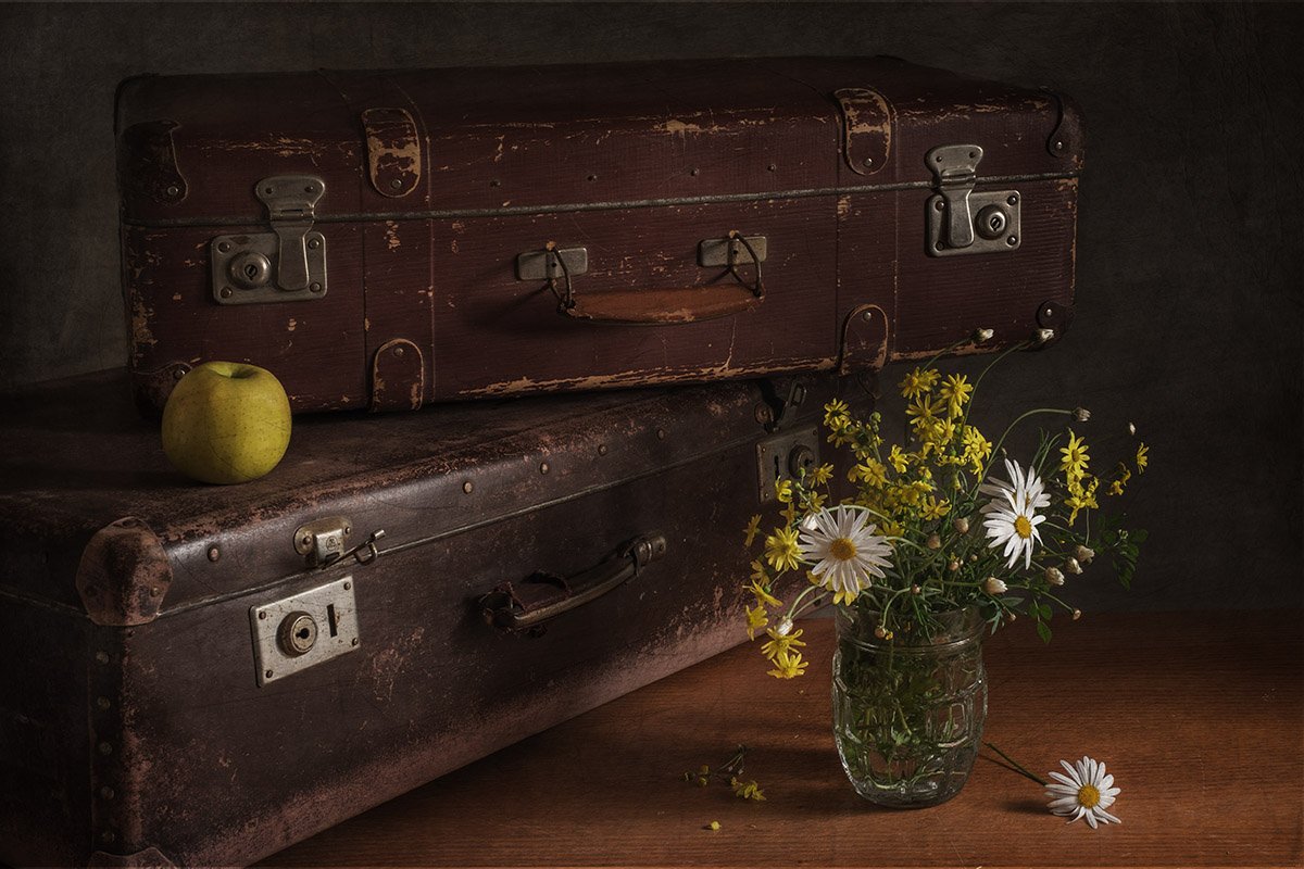 чемодан, яблоко , цветы, Виктория Солодар
