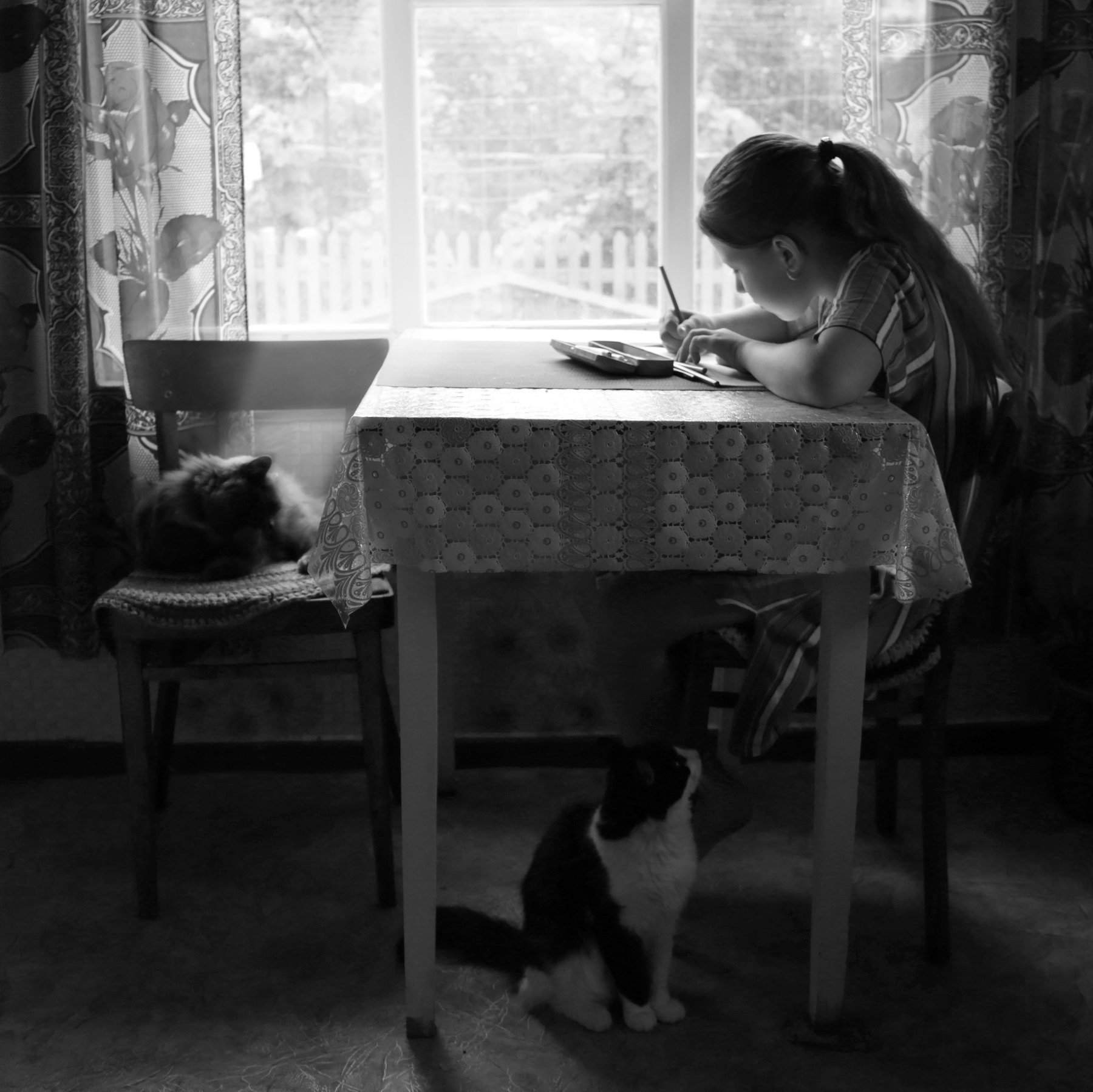 девочка, кошки, чернобелое фото, жанр, Вера Шамраева