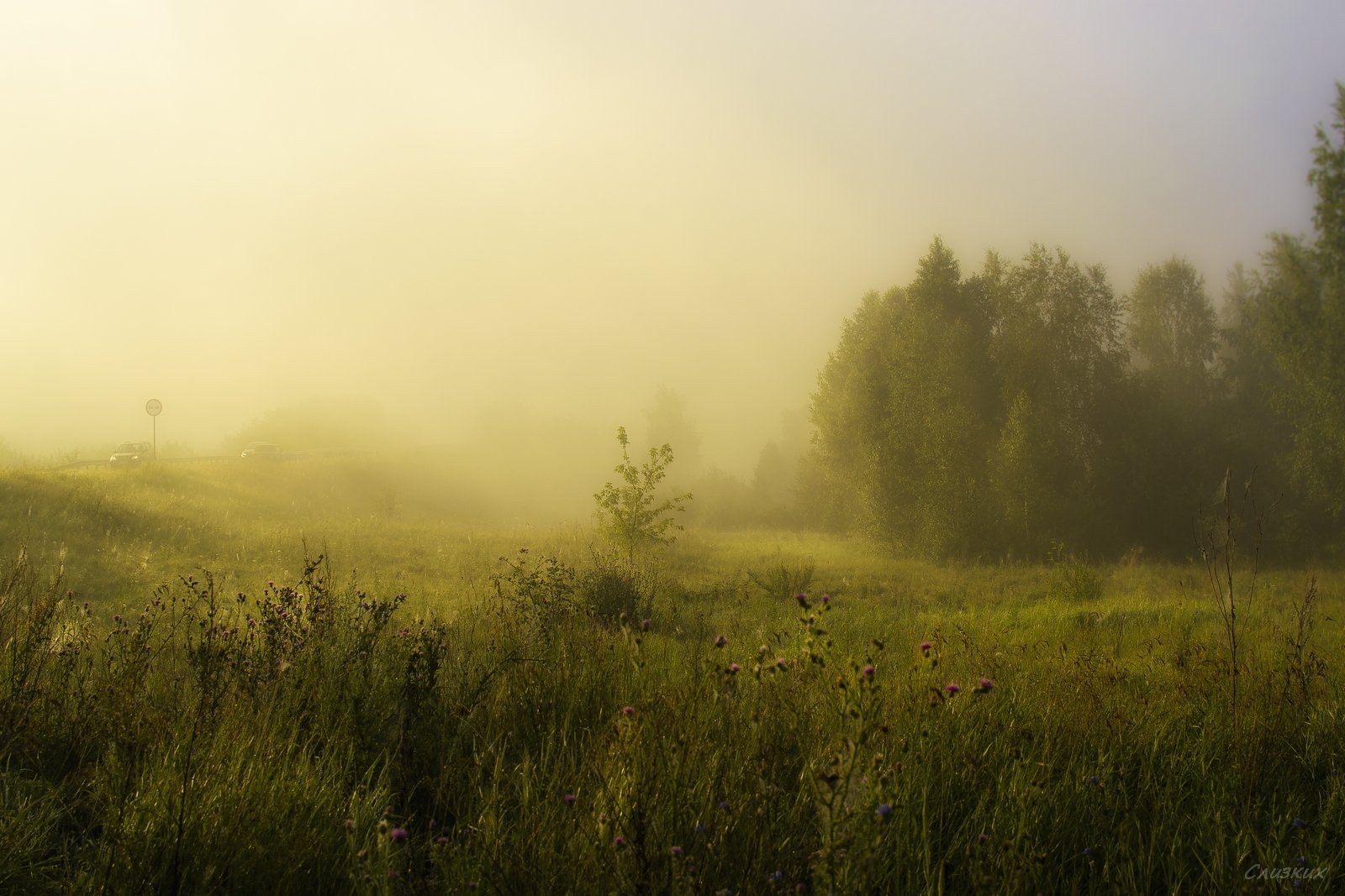 пейзаж,туман,утро,краски,август, Инаида