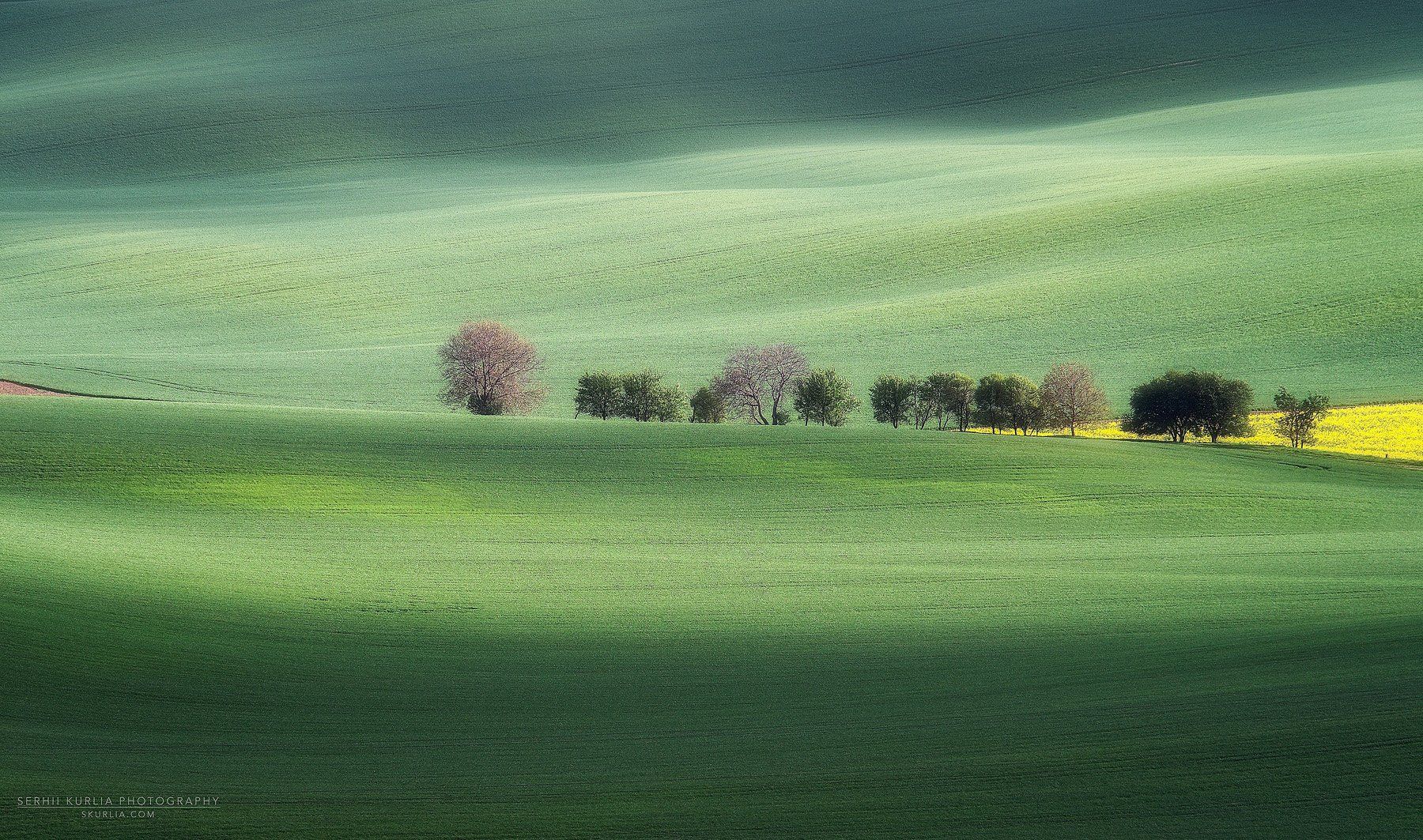 Moravia, trees, meadow, fields, grass, green, hills, Сергей Курля