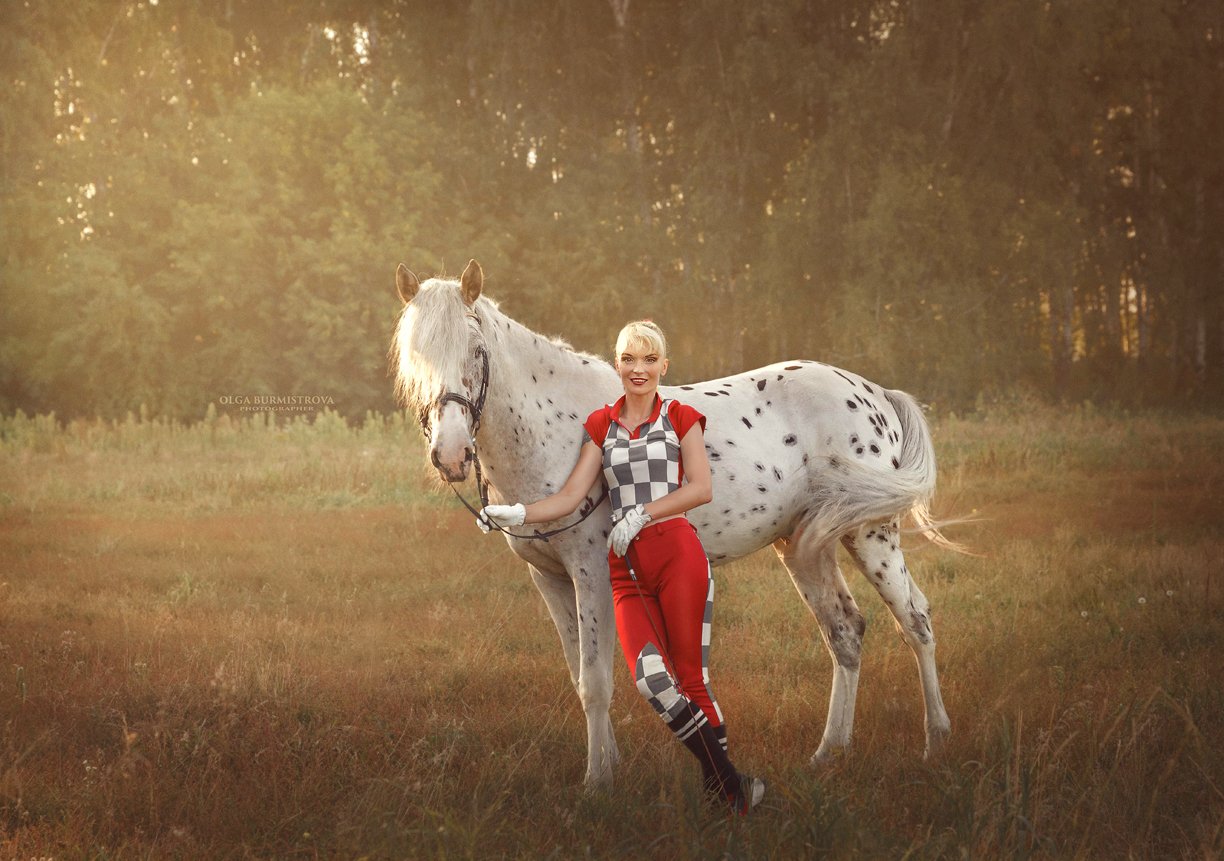 кони в яблоках, конный спорт, контровой свет, Ольга Бурмистрова