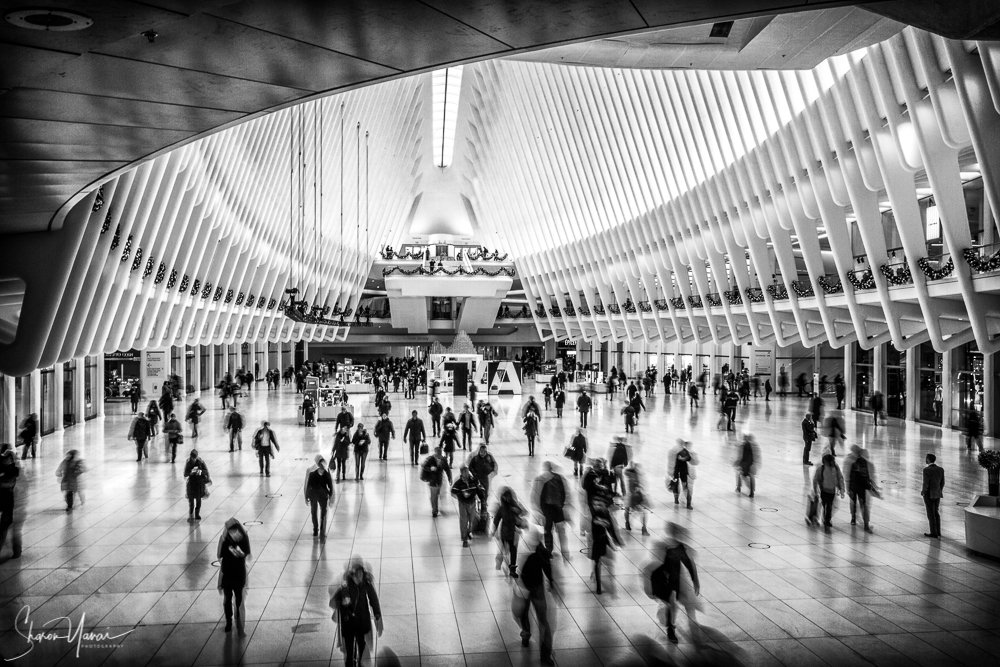 new york, black and white, people, train station, Sharon Yanai