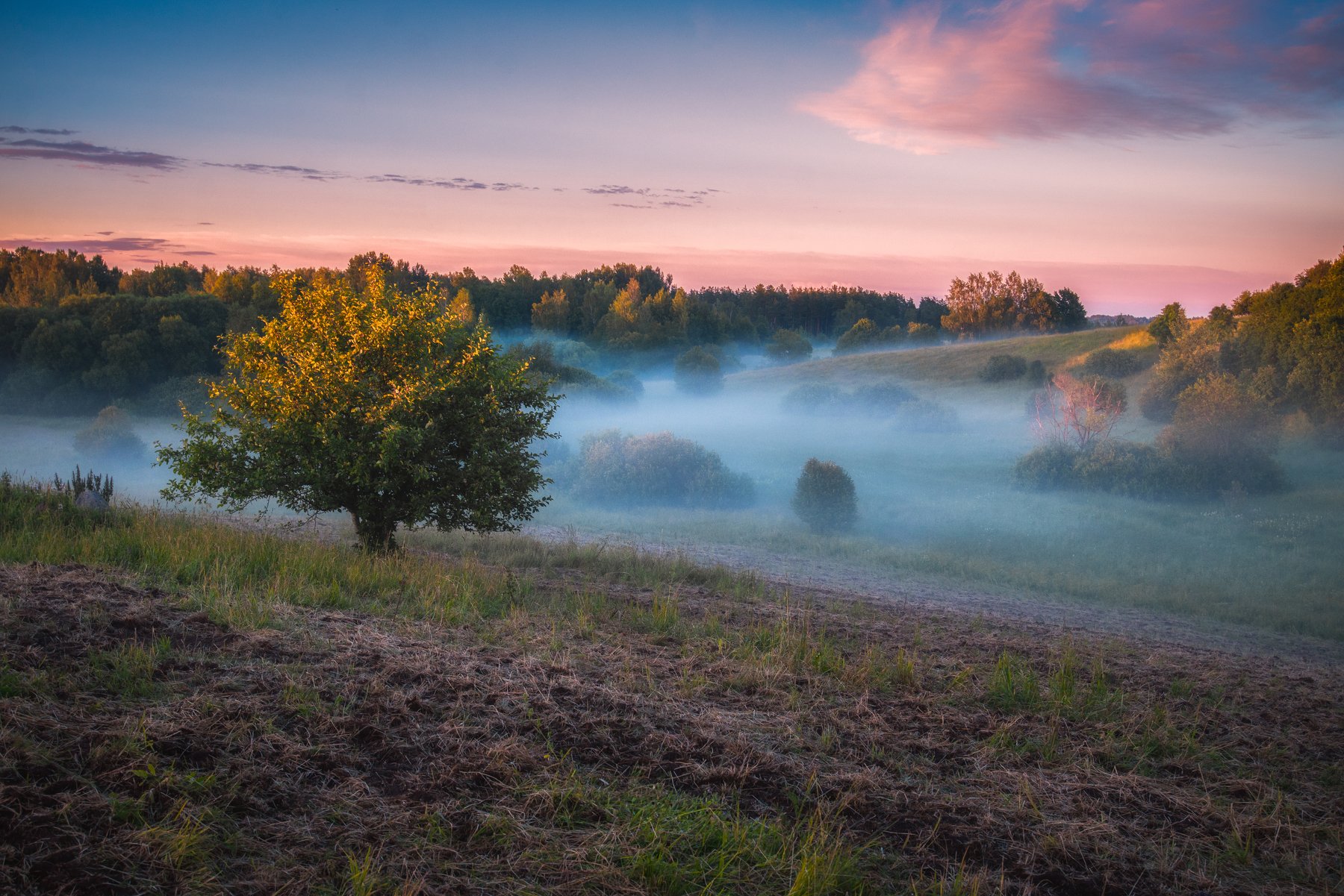 landscape,summer,fog,colours,sunset,пейзаж,лето,хутор, Olegs Bucis