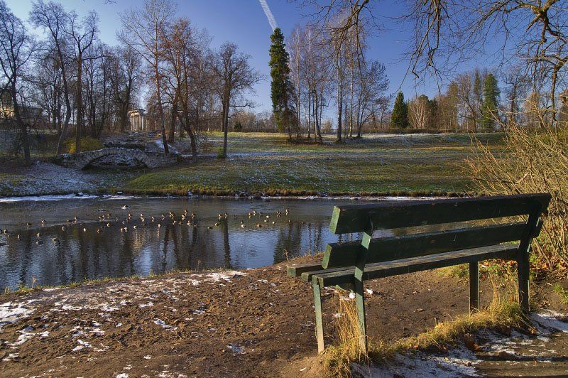 павовск, пруд, утки, скамейка, осень, Dankost