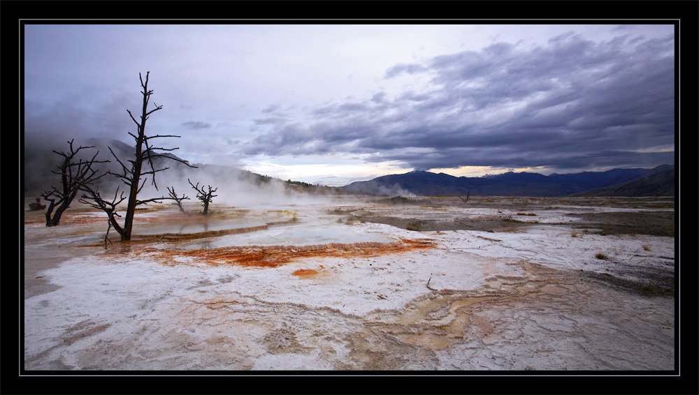 canary spring, mammoth hot springs, yellowstone, Vadim Balakin