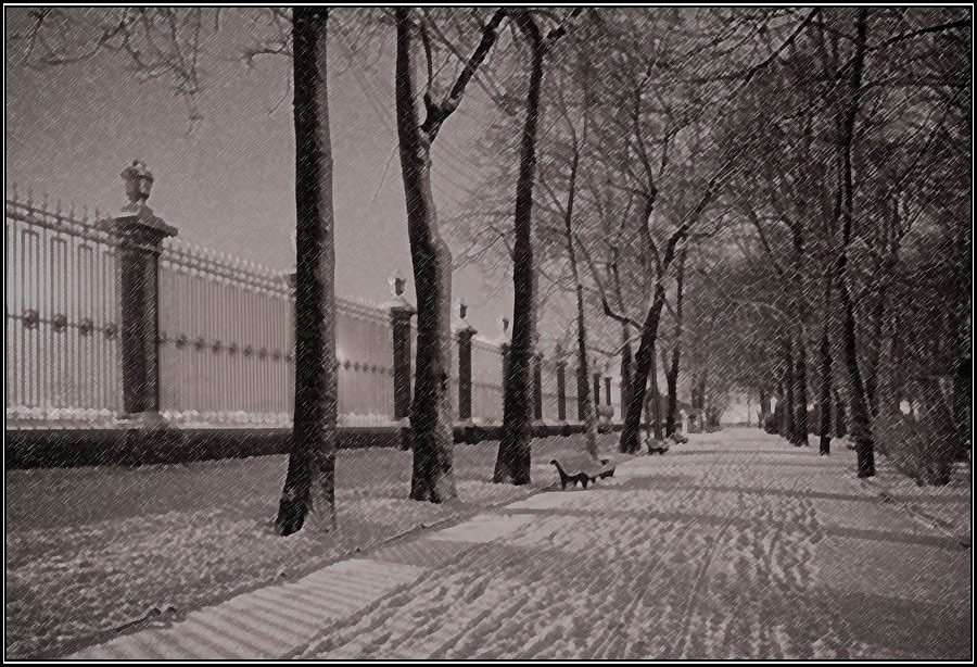 петербург, летний сад, ограда, вечер, снег, дорога, Алёна