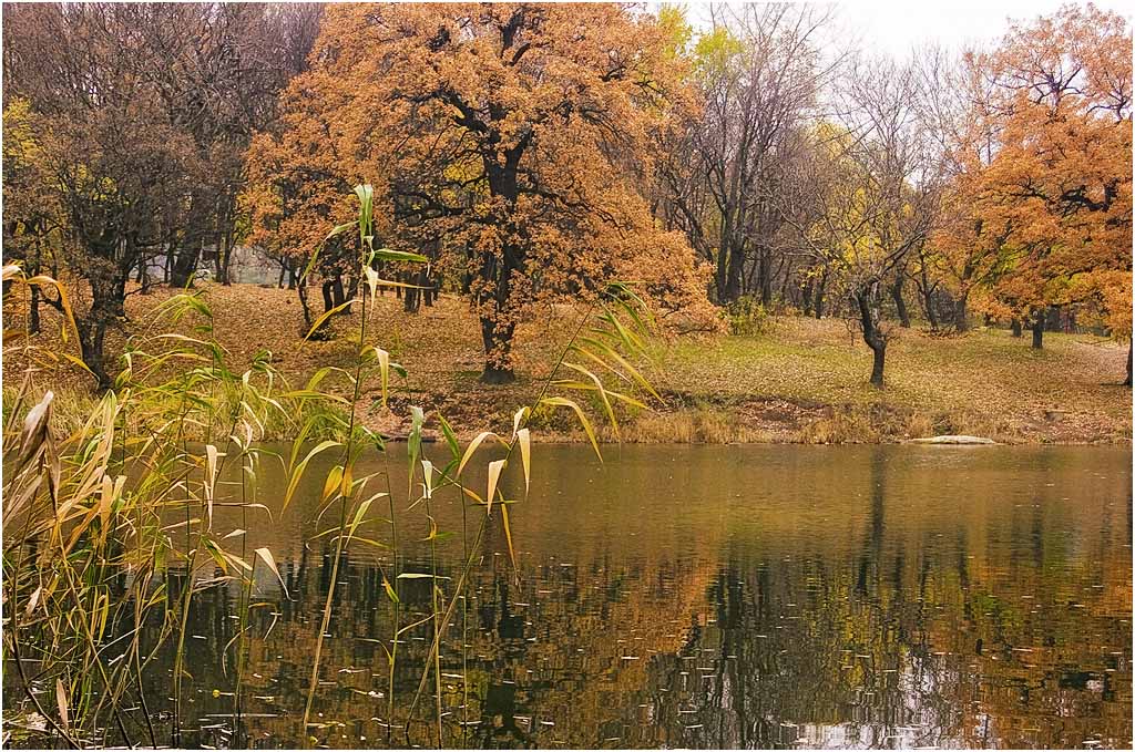 осень, пейзаж, вода, деревья, Александр Батурский